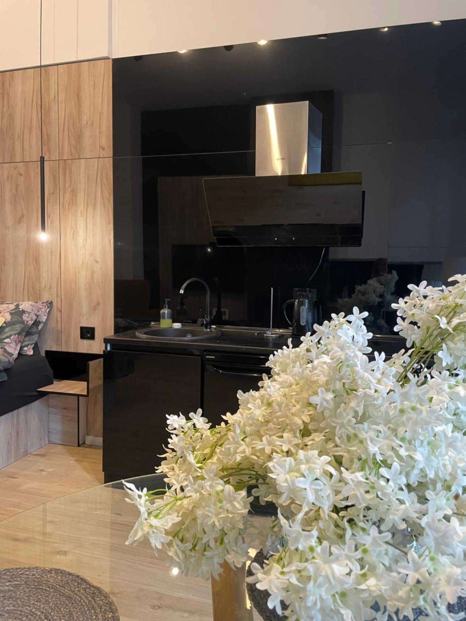 Lux Dabich Apartment *
